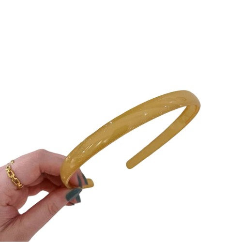 Fascia elastica plastica - elastica, in