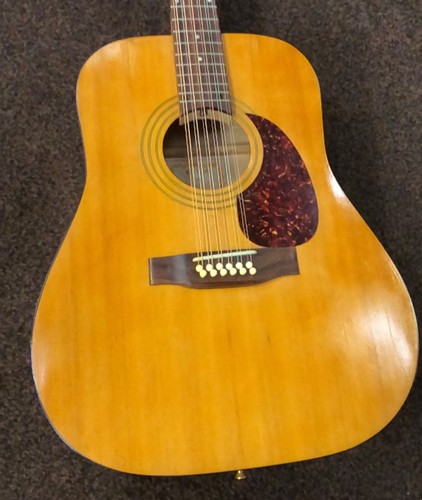 Norman acoustic sting - 12,