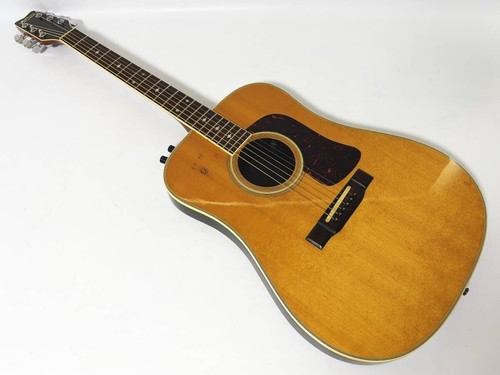 Washburn sbf chitarra - sbf-26,
