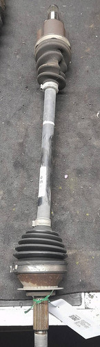 1s0407761d semialbero ant - 1s0407761d,
