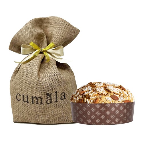 Panettone artigianale - panettone,