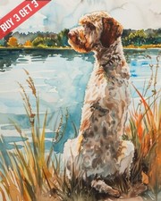 Quadro Acquerello Cane Lagotto Romagnolo Stampa 8x10