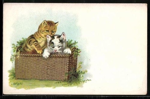 Litografia due gatti bambini - litografia,