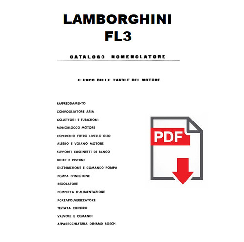 Motore lamborghini fl3 - motore,