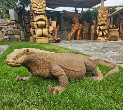 Varano komodo lunghezza 00 - komodo, 1,00