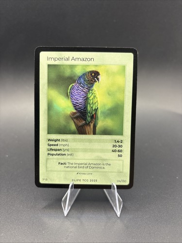Life tcg nonholo - life, rare