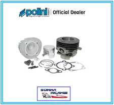 Polini 1400058 kit gruppo - 1400058,