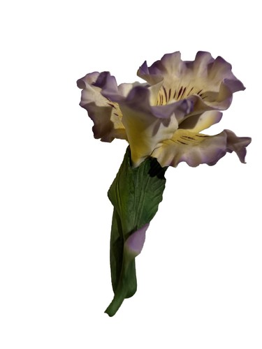Biscotto porcellana fiore - , iris
