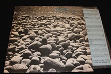 AGITPOP - Feast of the sunfish - LP