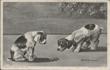 Vintage Dog ENGLISH POINTER