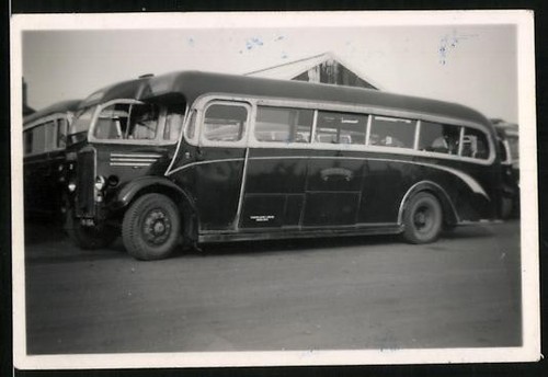 Fotografia bus leyland lion - bus,