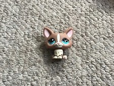 Littlest Pet Shop LPS #1864