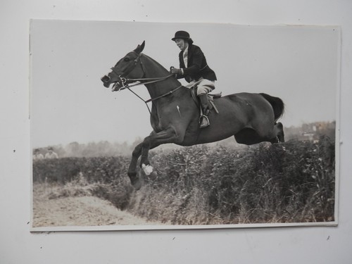 Original pre war - pre, horse
