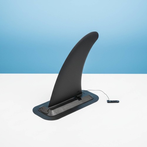 Pinna wave riding - pinna, da