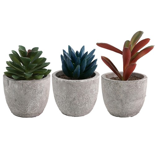 Piante grasse artificiali - , da