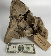 Pianta d'acquario naturale