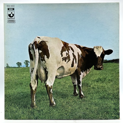 Pink floyd atom - floyd,