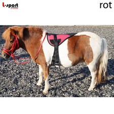 L-Sport Set Principianti
