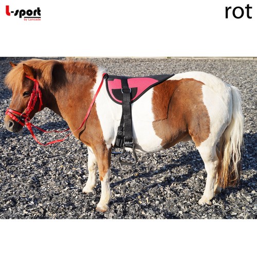 Sport set principianti - set,