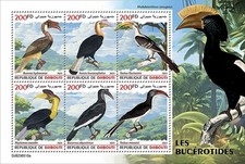 HORNBILLS Birds Hornbill Bird