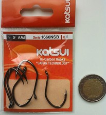 AMI TRAINA CON IL VIVO KATSUI