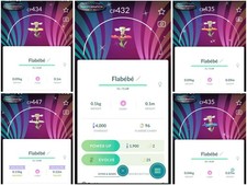 ✨Sfondo speciale fiore