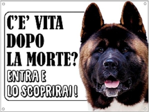 Targa cartello attenti cane - cartello, al