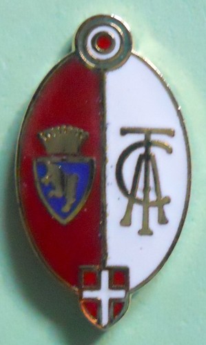 Distintivo spilla pin - spilla, badge