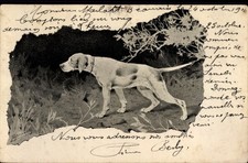 Cartolina cane da caccia, ritratto di animale - 4745235