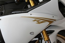 Kit adesivi fianchetti