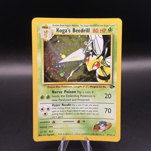 Koga beedrill gym challenge - koga's,