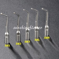 Scaler piezoelettrico ad