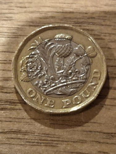 2019 beautiful one pound - beautiful,