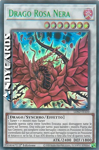 Drago rosa nera - nera, (black