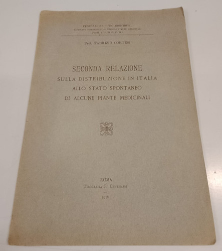 Seconda relazione sulla - relazione,