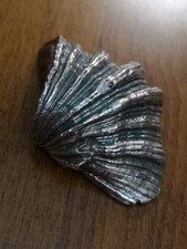 Piatto conchiglia argento M.Buccellati