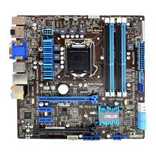 Scheda Madre ASUS Pro P8H77-M
