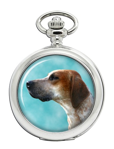Inglese foxhound orologio - foxhound,