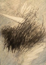 Fiorella Iori (Cecina Livorno