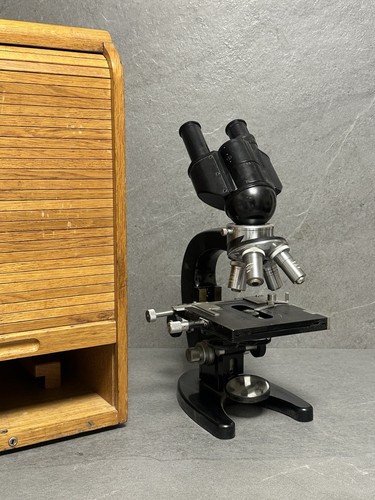 Microscopio stereo zeiss - microscopio,