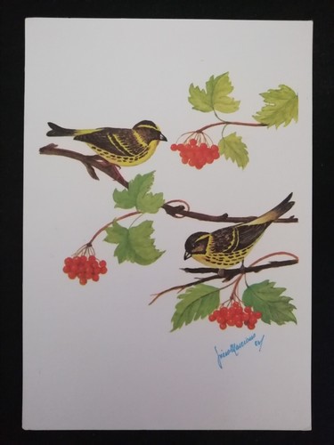 Cartolina illustratore italia - cartolina,