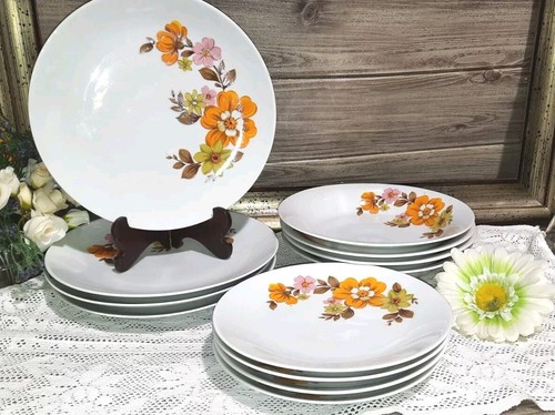Vintage porcellana mitterteich - porcellana,