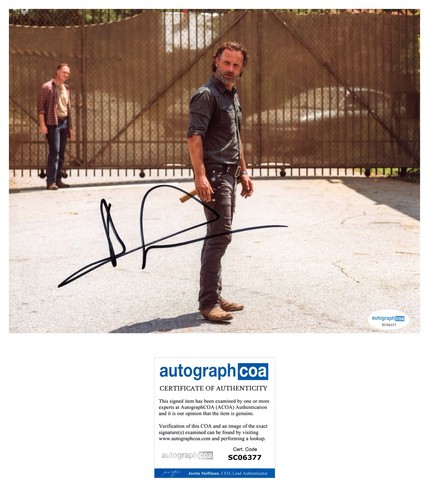 Andrew lincoln the walking - “the,