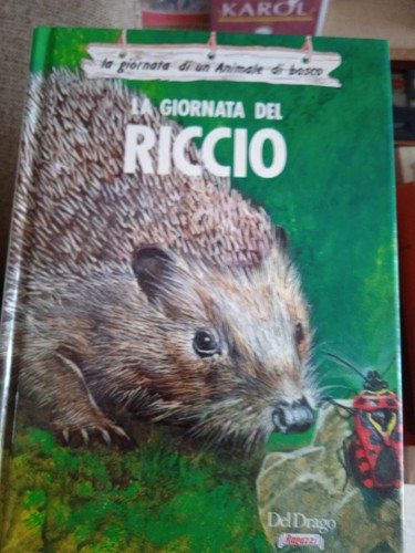 Giornata del riccio - giornata,