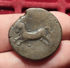 #77-151 ~ NUMIDIE - Massinissa où Micipsa - Unité de bronze 13,45g