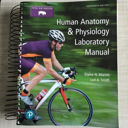 Human anatomy physiology lab - anatomy,