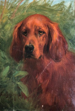 Dipinto: Ritratto di un Setter