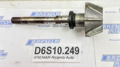 D6s10 249 albero alberino - albero,