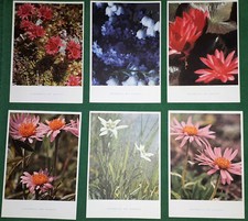 LOTTO CARTOLINE VINTAGE