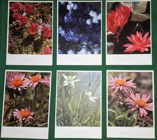 Lotto cartoline vintage - cartoline,